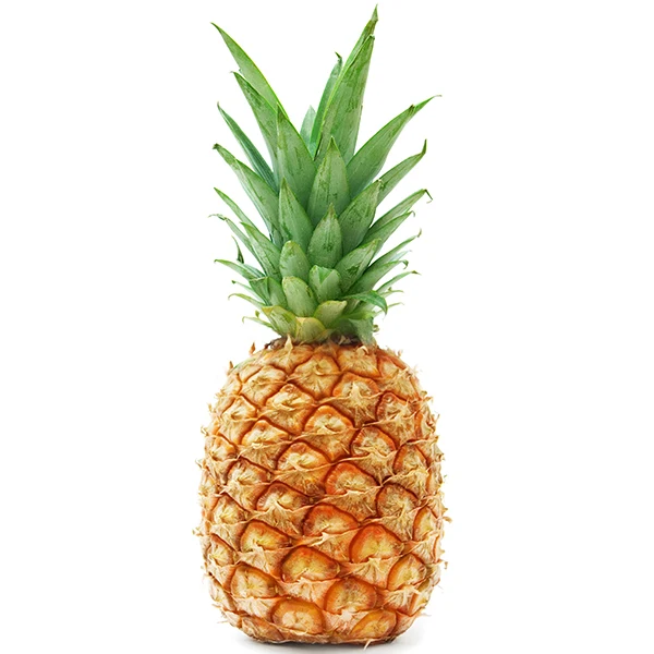 Fruits - Pineapple Gold Case 6 EA