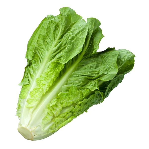 Vegetables - Lettuce Romaine Hearts Bag 3 EA