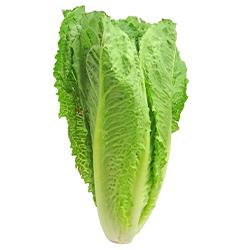 Vegetables - Lettuce Romaine Hearts Bag 6 EA