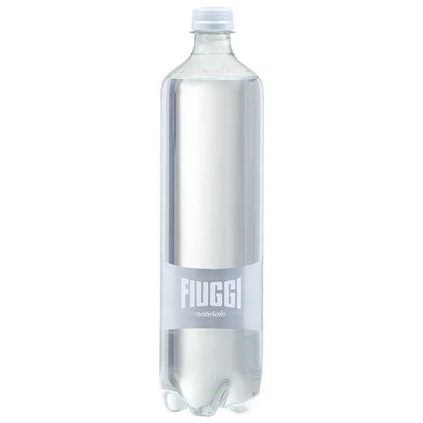 Fiuggi - Natural Mineral Water Slim PET 6x500 ML