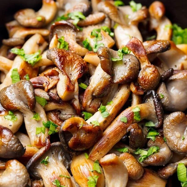 Surgital - Countryside Mushroom Blend 5x1 KG