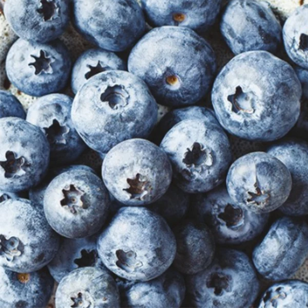 Alasko - Iqf Cultivated Blueberries 5x1 KG