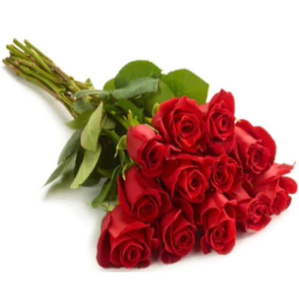 Fresh Cut - Freedom Red Roses Bundle 50CM 25UN