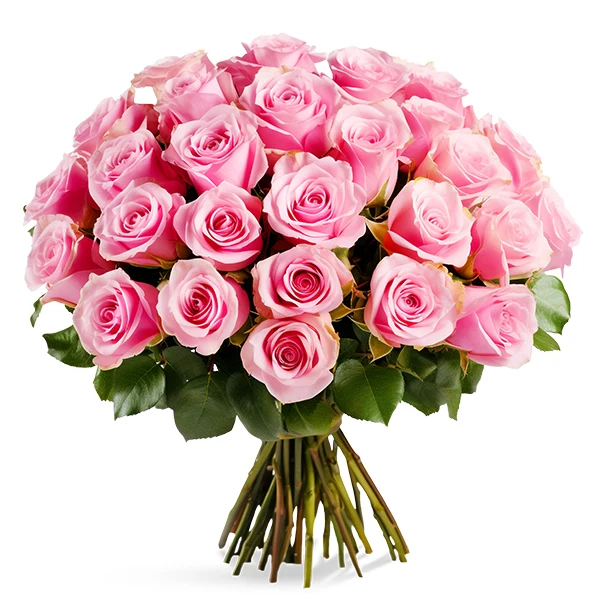 Fresh Cut - Light Pink Roses Bundle 50CM 25UN