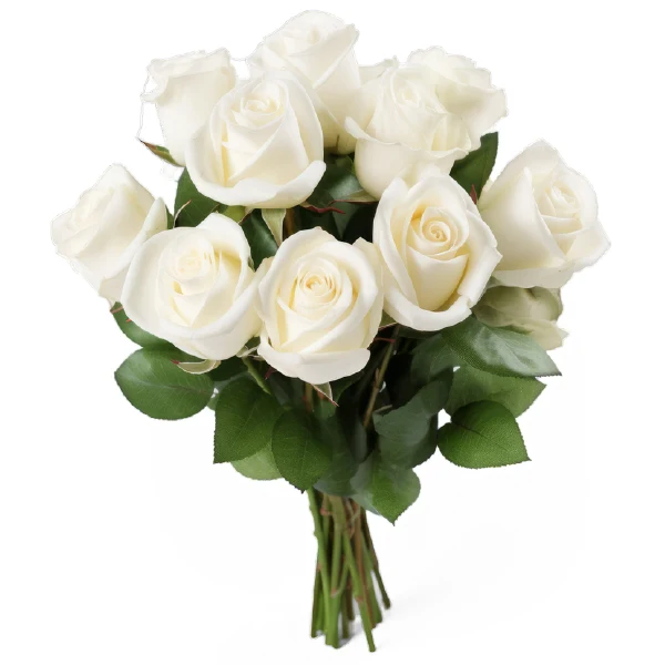 Fresh Cut - White Roses Bouquet 50CM 12UN