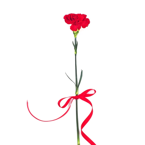 Farm To Canada - Red Carnations Fancy 1 Stem