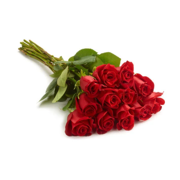 Farm To Canada - Red Roses Bunch 12PC
