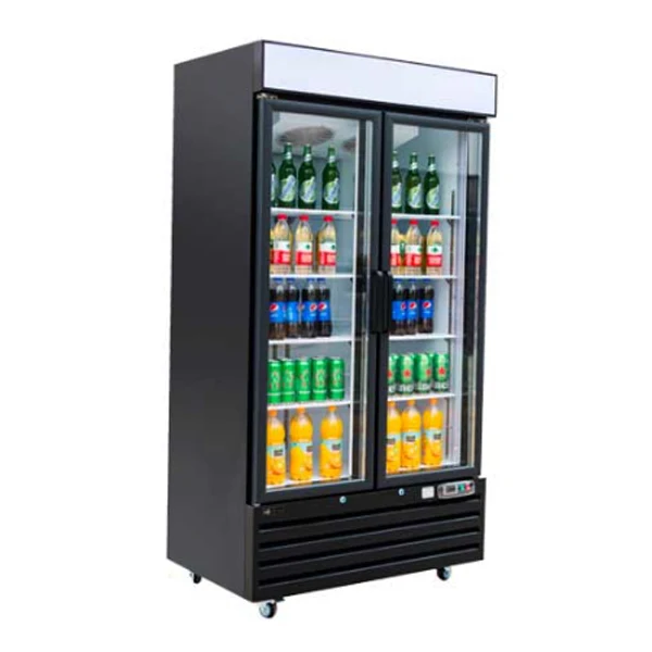 Efi - Glass 2 Door Merchandiser Freezer EA