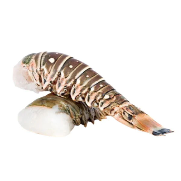 Rock Harbour - Spiny Lobster Tails 283GR