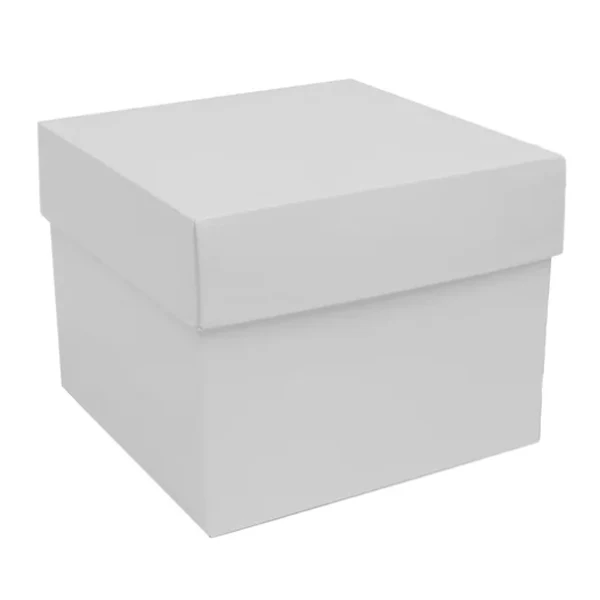 LUV2PAK - 10x10x8IN Habitat White Gloss Gift Box 1CT