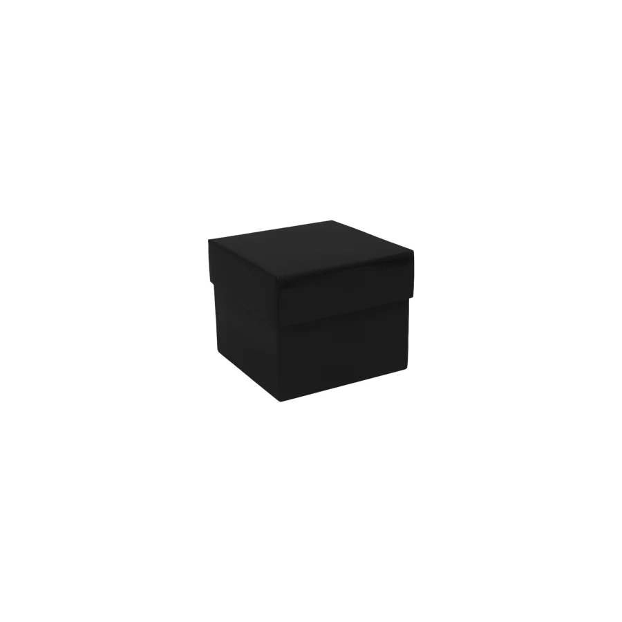 LUV2PAK - 6x6x5x2" Habitat Display Black Box 1CT