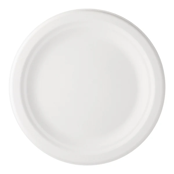 Ieco - 10" Bagasse Plate 30EA