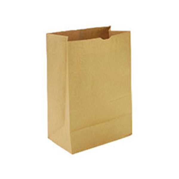 Rosenbloom - 6LB Brown Paper Bag 500UN