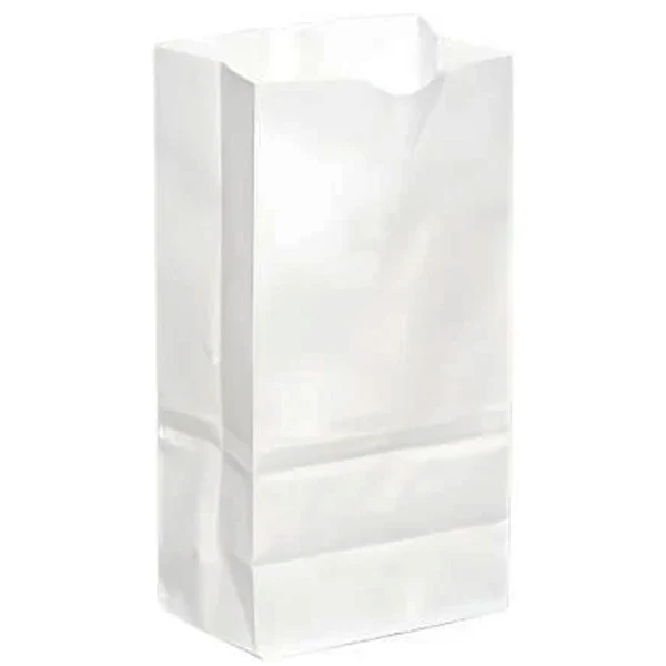 Rosenbloom - Plain White Grocery Bags 5LB 500 CT