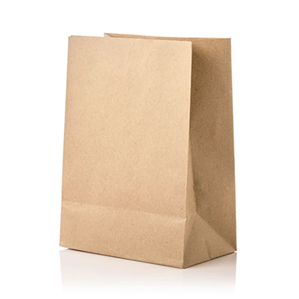 Haversack/Somi - 1LB Brown Paper Bag 500UN