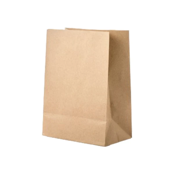 Haversack/Somi - 5LB Brown Paper Bag 500UN
