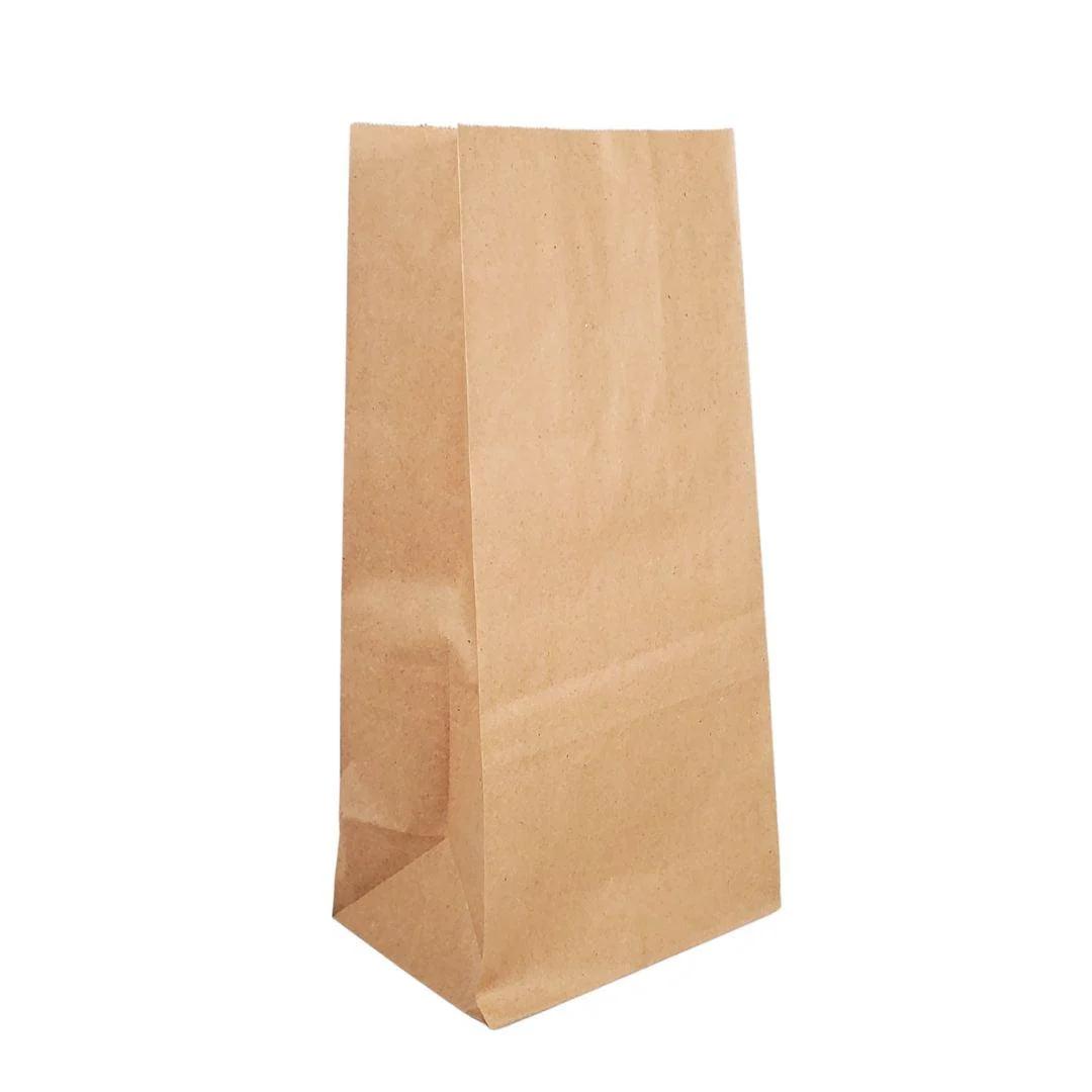Eco-Craze - Paper Bags - Brown - #3