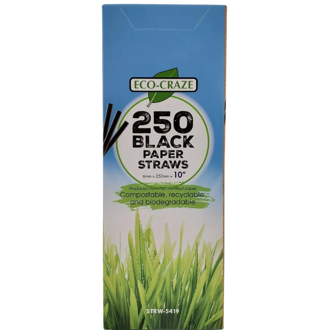 Eco-Craze - 10" Milkshake Straws - Paper - Black - 6mm — Case (12 x 250 CT)