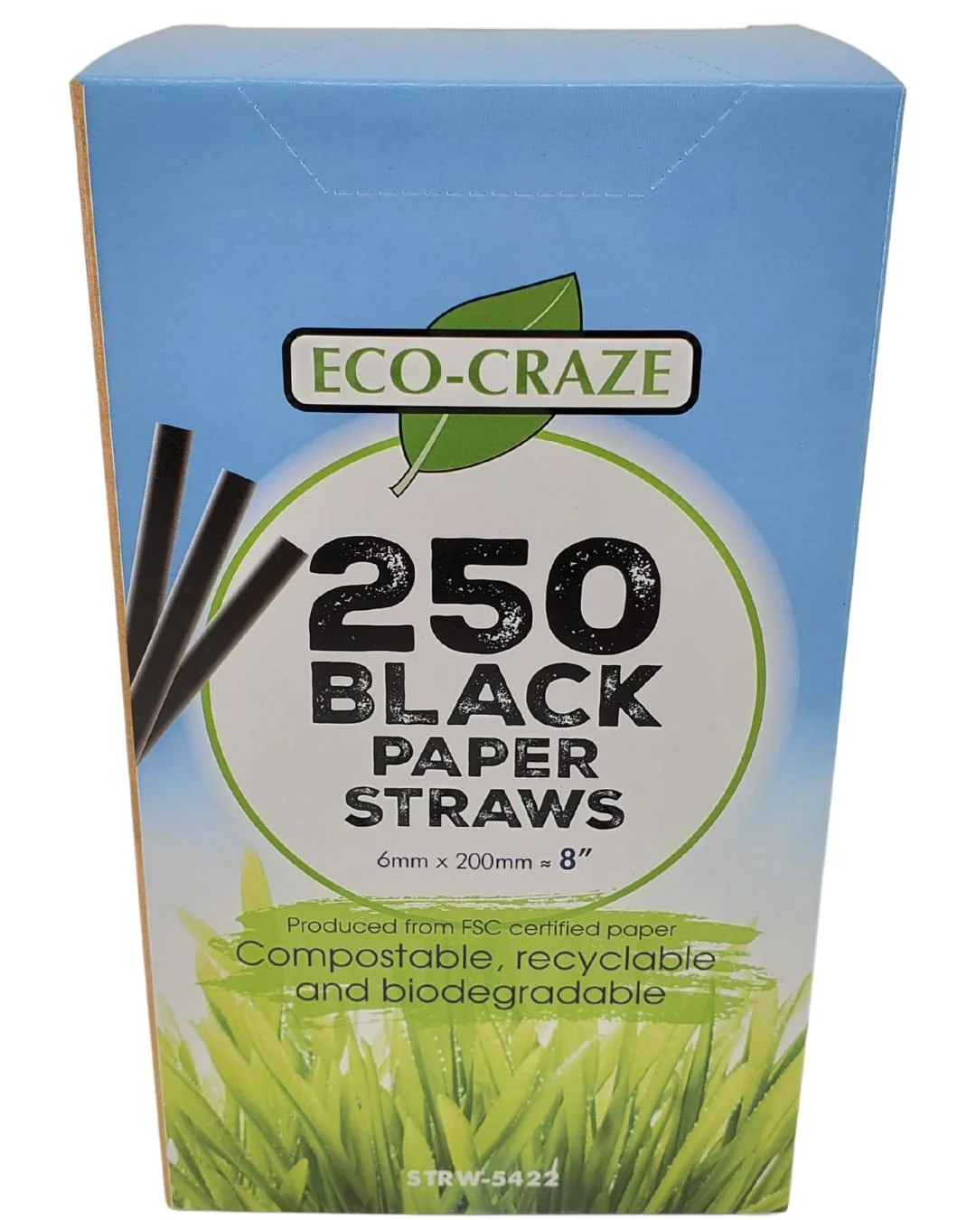 Eco-Craze - 8" Black Paper Straw - 6 mm — Each (250 CT)
