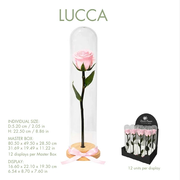 Preserved Rose Dome Small 1UN