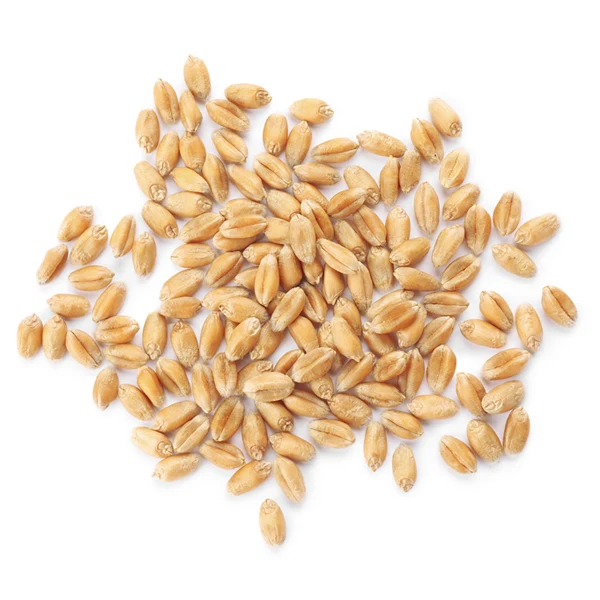 3220 - Grain Pro Soft Wheat Kernals 10KG