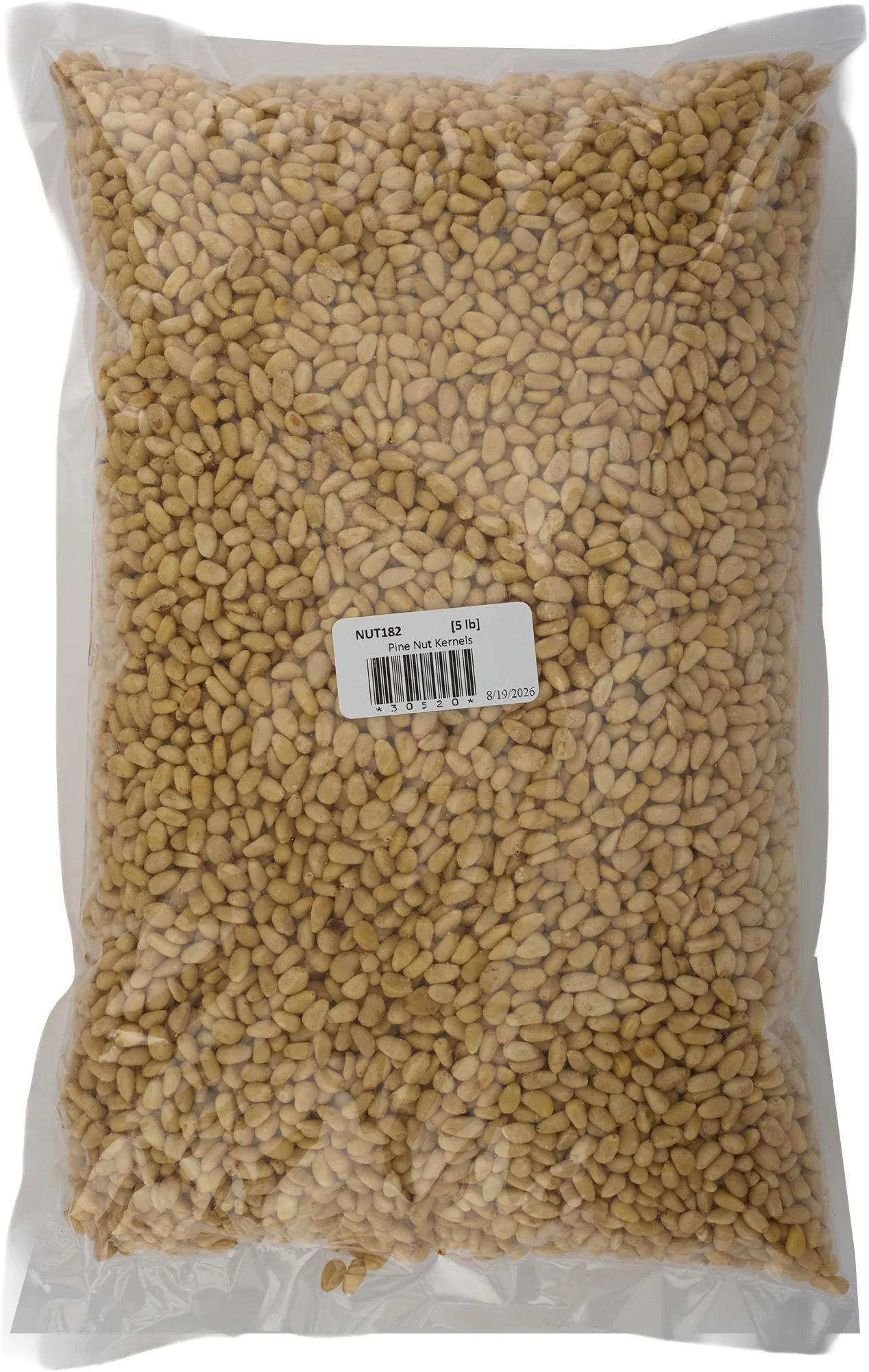Pine Nut Kernels