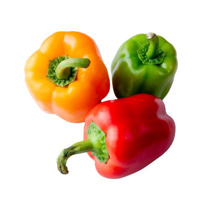 Fresh - Bell Pepper - Mix — Each (20 LB)