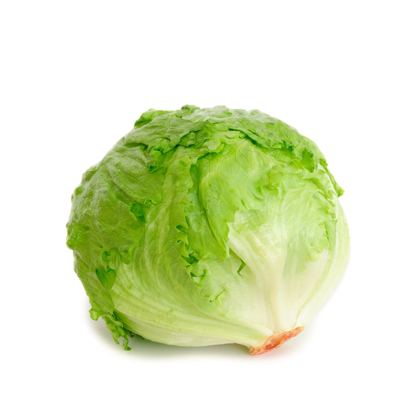Vegetables - Lettuce Iceberg Case 24 EA