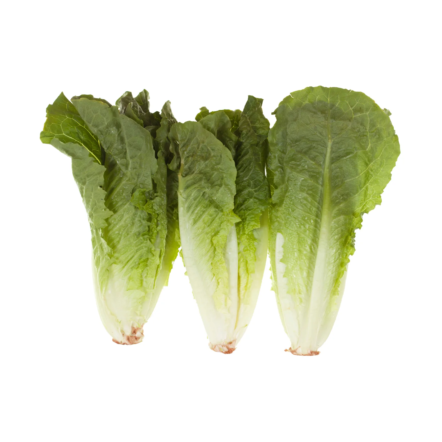 Lettuce Romaine Hearts Case 12x3
