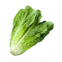 Vegetables - Lettuce Romaine Repack 3 EA