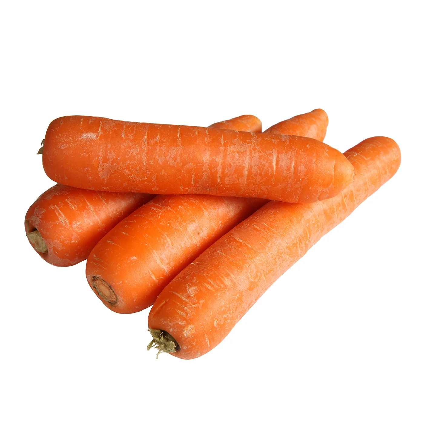 Vegetables - Carrots Large 50 Lbs