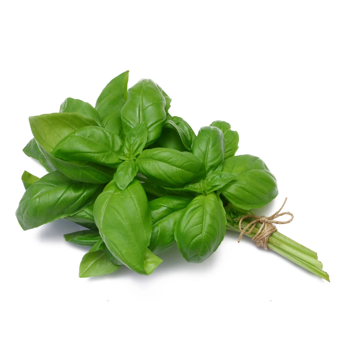 Vegetables - Basil Green Bag 12 EA