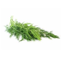 Vegetables - Dill Repack 3EA