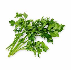 Vegetables - Parsley Italian Repack 3 EA