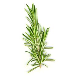 Vegetables - Rosemary Repack 3 EA