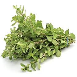 Vegetables - Thyme Green Repack 3 EA