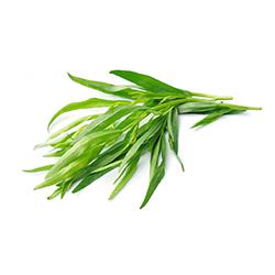 Vegetables - Tarragon Repack 3EA