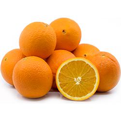 Fruits - Oranges Navel Case 56 EA