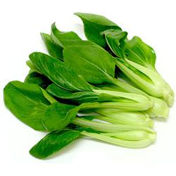 50 - Bok Choy Repack 2 Lbs