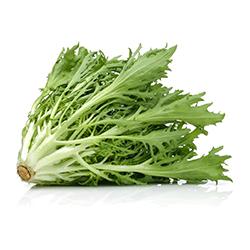 Vegetables - Lettuce Witloof Endives Repack 2.5 Lbs