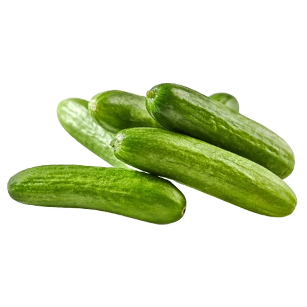 Vegetables - Cucumbers Baby Case 20LB 20 Lbs