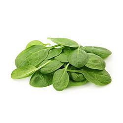 Vegetables - Spinach Baby Clam 11 OZ