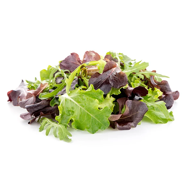 Vegetables - Spring Mix 11 OZ