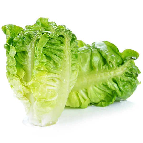 Vegetables - Lettuce Romaine Local Case 24 EA