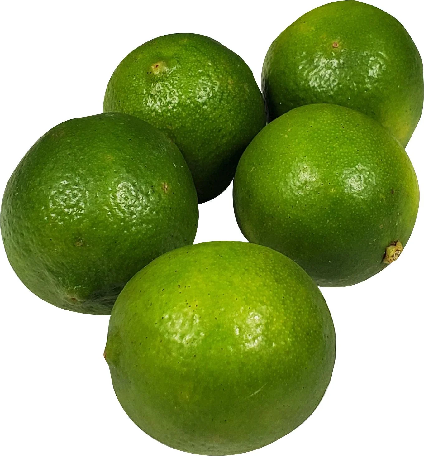 Fresh - Lime — Case (250 CT)