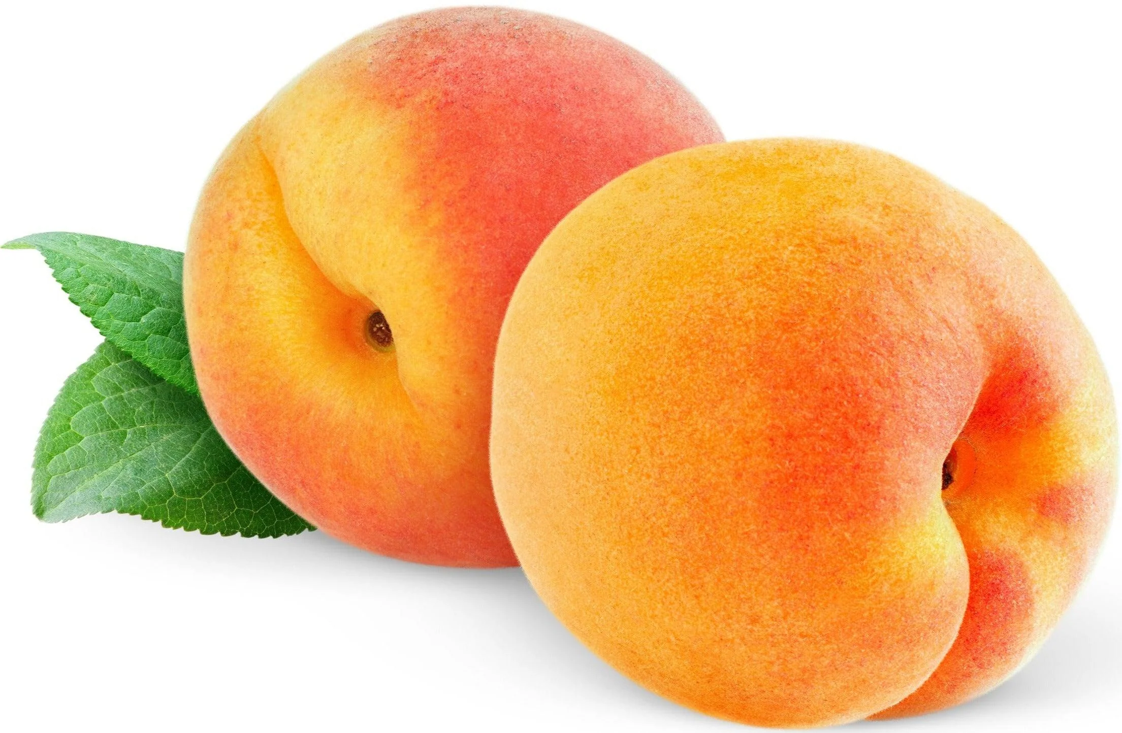 Fresh - Peach - Dream/Angel — Each (2 LB)