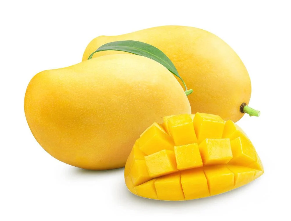 Fresh - Tommy/Haden/Kent Mango (Size 9) — Case (3 CT)