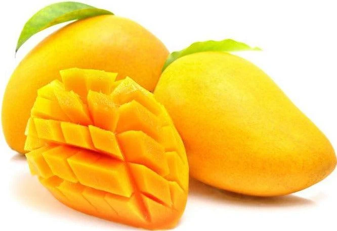 Fresh - Ataulfa Mango (Size 12) — Case (16 CT)