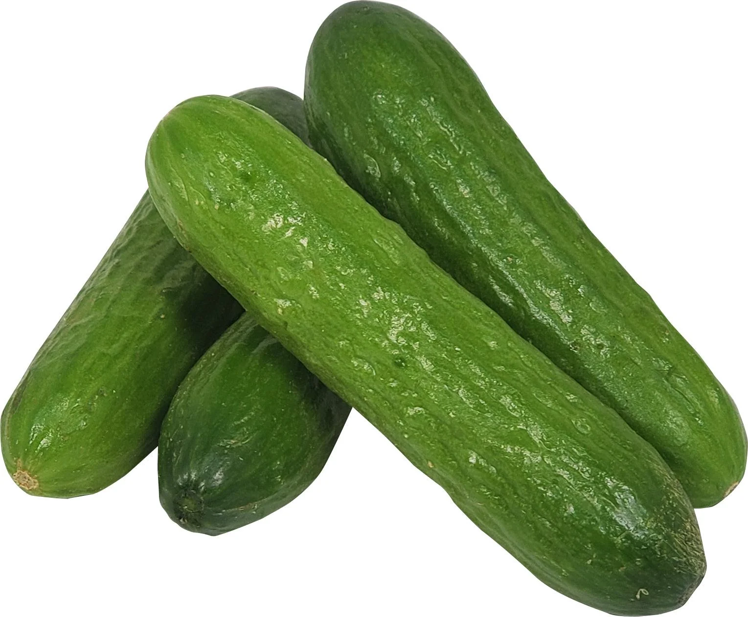 Fresh - Cucumber - Baby — Each (5 LB)