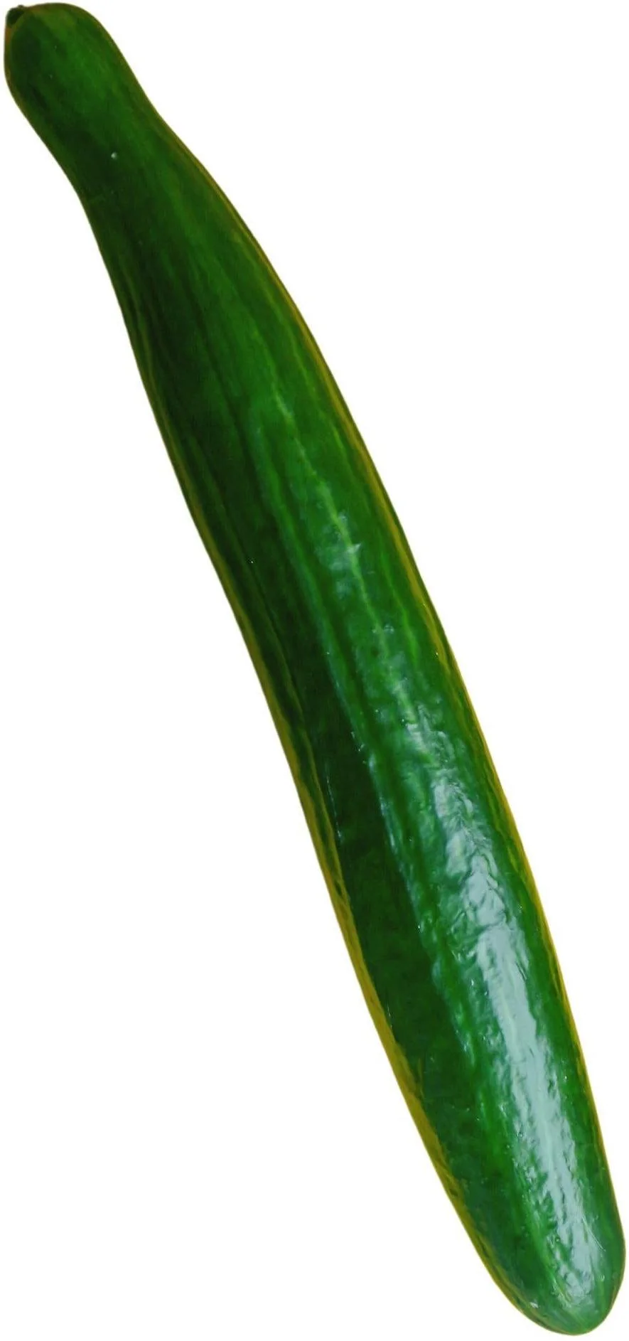 Fresh - Cucumber - English — Case (60 CT)